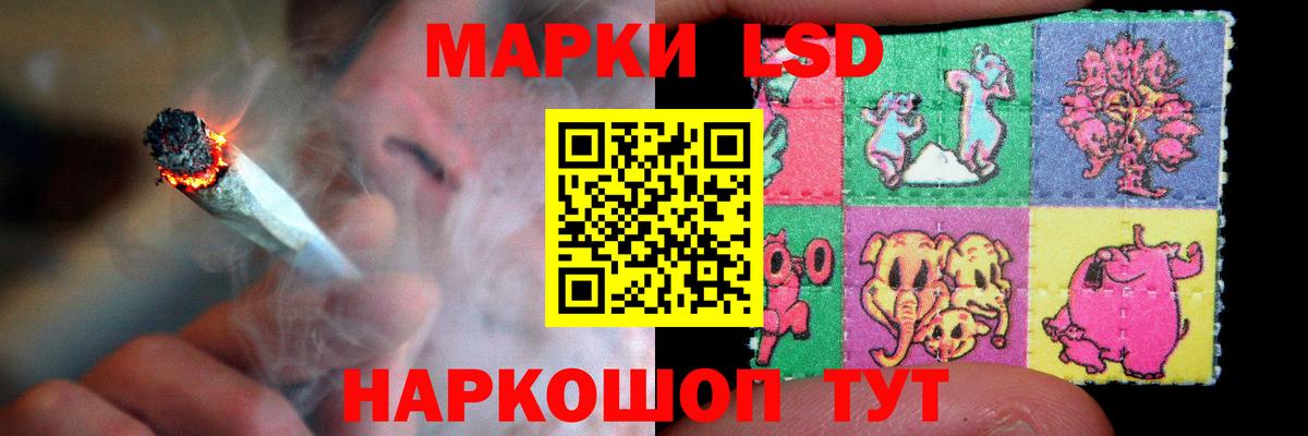 ЛСД экстази  LSD-25 экстази кислота  Новоуральск  гидра   ЛСД экстази кислота  Вход с VPN 