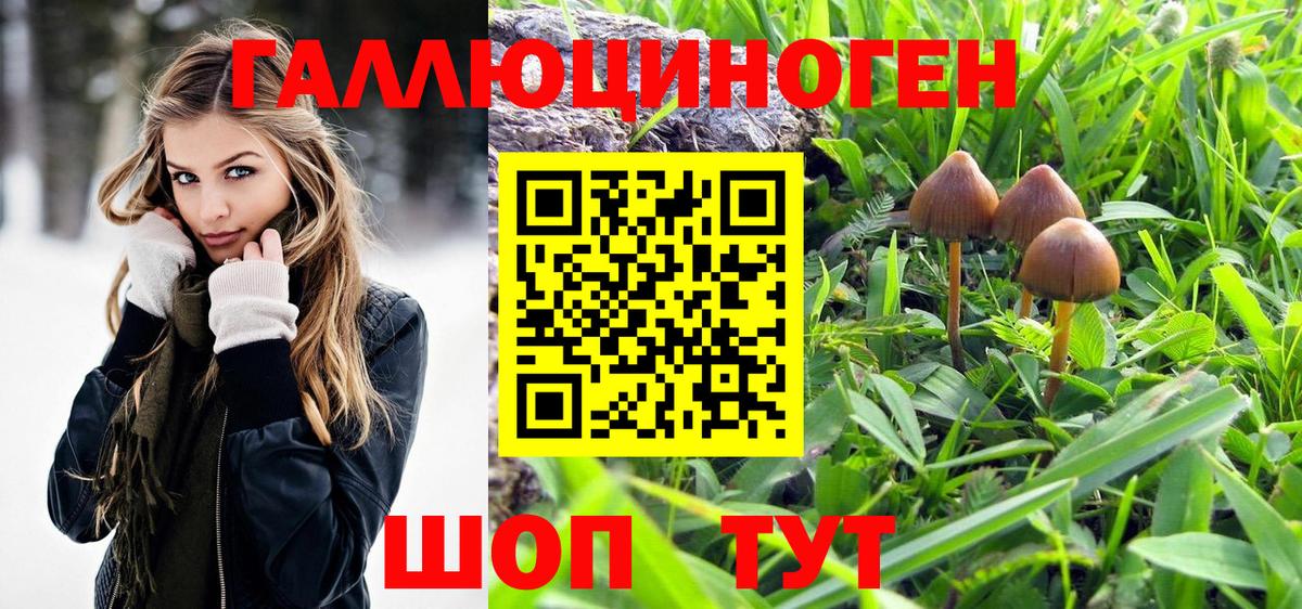 Новоуральск  Псилоцибиновые грибы Magic Shrooms  Вход с VPN  Галлюциногенные грибы мухоморы 